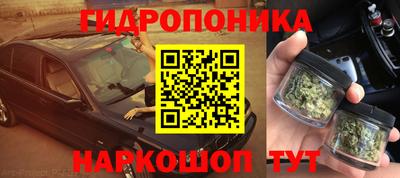 сатива Тверь