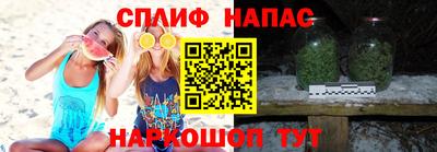 сатива Тверь