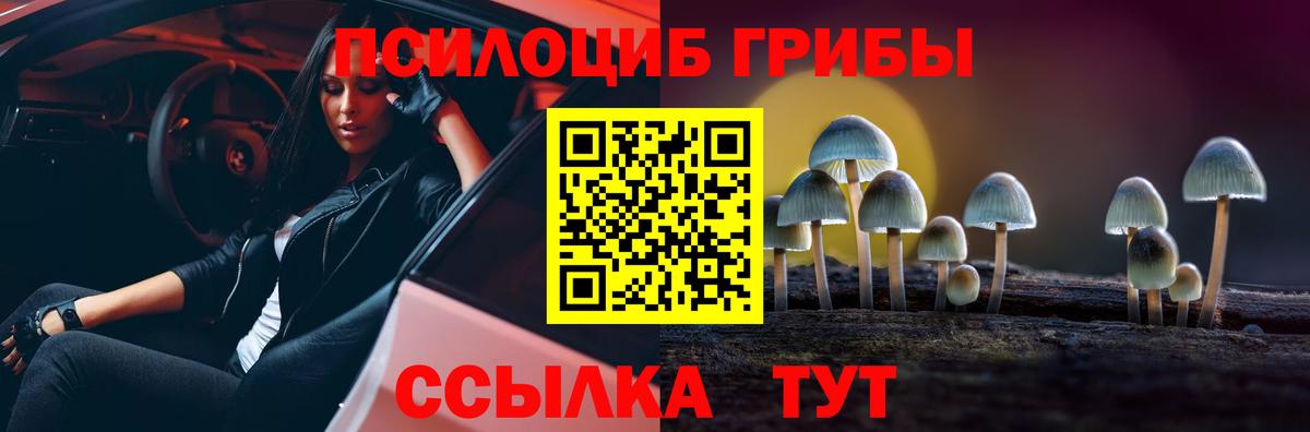 Хабаровск  Галлюциногенные грибы Psilocybe  Вход с VPN 